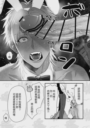 第11页 封面 - HaSM.cc