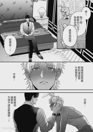 第17页 封面 - HaSM.cc