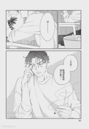 第51页 封面 - HaSM.cc