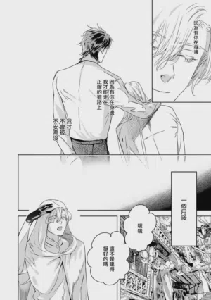 第399页 封面 - HaSM.cc
