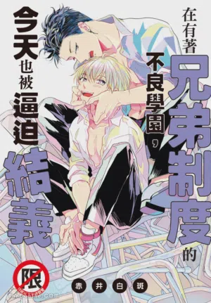 Kyoudai Seido no aru Yankee Gakuen de, Kyou mo Chigiri wo Semararetemasu I︱在有着兄弟制度的不良学园，今天也被逼迫结义 封面 - HaSM.cc