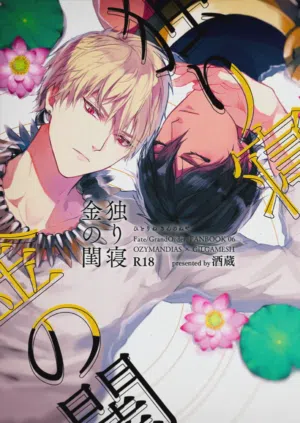 Hitotsu ne Kirameki no shiro | Ozymandias x Gilgamesh | 金閨獨夢 |  封面 - HaSM.cc