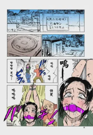 第11页 封面 - HaSM.cc