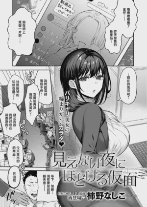Kakino_Nashiko_見えない夜にはとける仮面_見えない夜にはとける仮面 封面 - HaSM.cc
