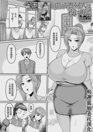 _川沼魚釣_肉慾貴婦人は夜に咲く 封面 - HaSM.cc