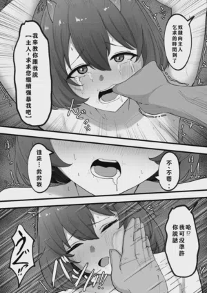 第11页 封面 - HaSM.cc