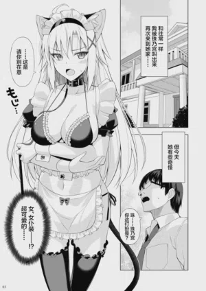 第2页 封面 - HaSM.cc
