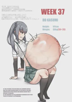 第235页 封面 - HaSM.cc
