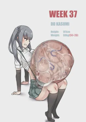 第240页 封面 - HaSM.cc