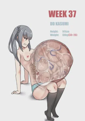第246页 封面 - HaSM.cc