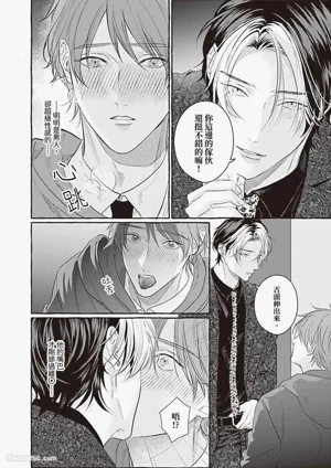 第17页 封面 - HaSM.cc